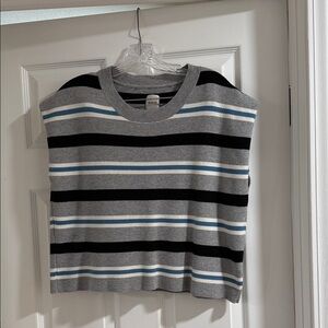 Maeve Gray and Blue Striped Sweater